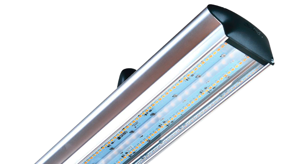 Veritas VL-30.BT Lampe de poste de travail pour orfèvres et gemmologues, combinaison lumineuse idéale
grâce à trois températures de couleur combinables indépendamment (6.000, 4.000, 3.000 K), compris base
de fixation OX210