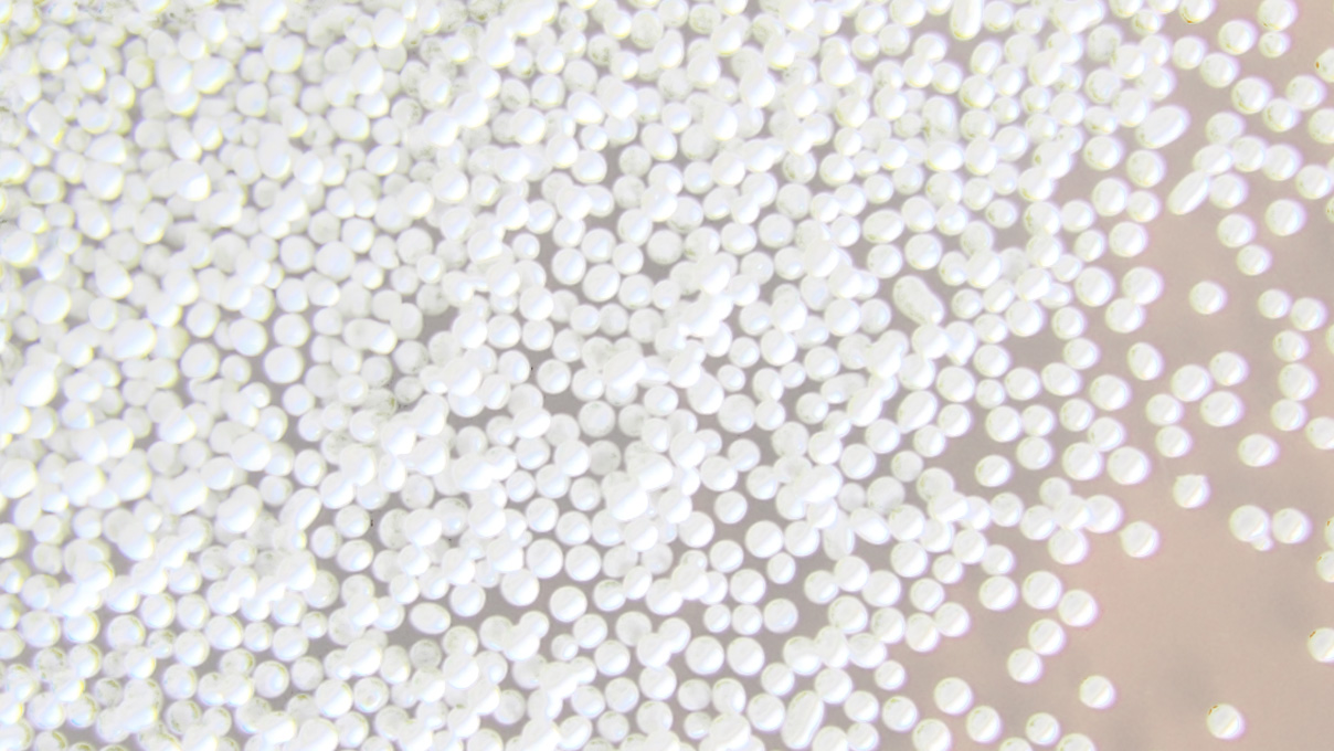Abrasifs de sablage Iepco MSZ 250 B, granulation 125 - 250 µm, 5 kg