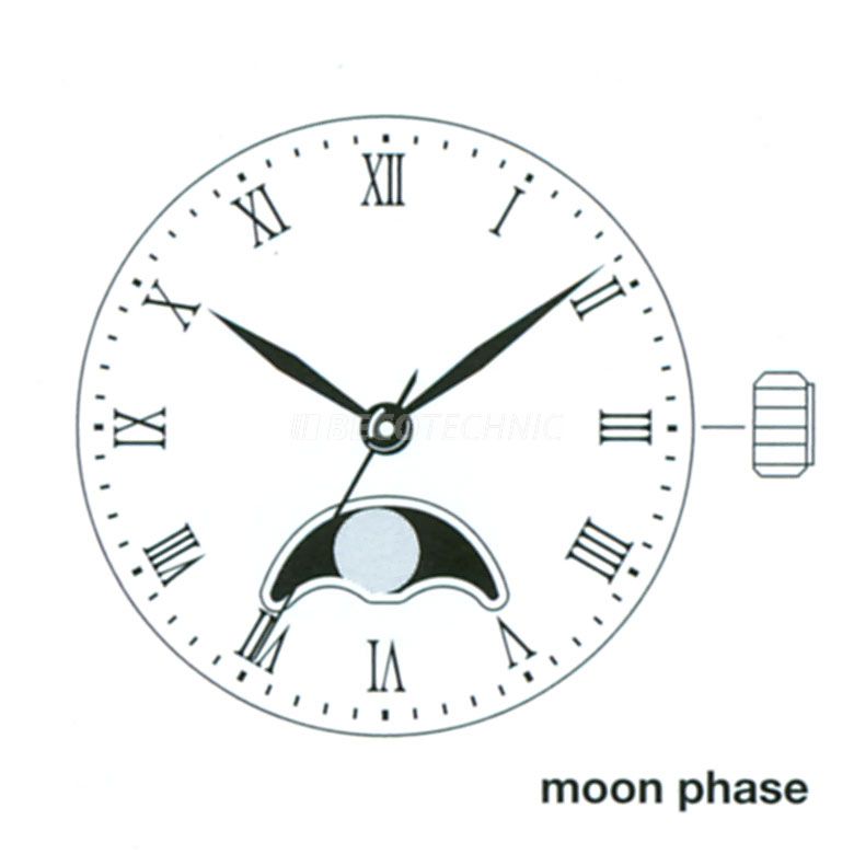 Mvt. Miyota 6P24 10 1/2''' SC MOON Quartz (364 | SR621SW)