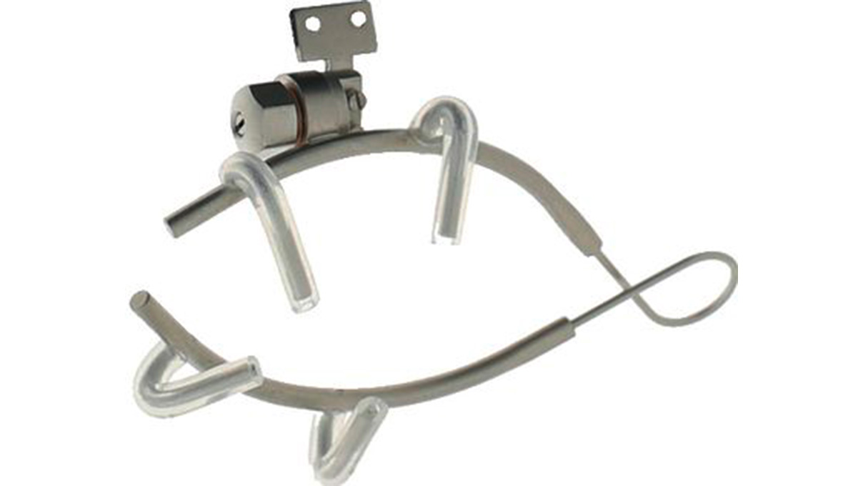 Ary Loupe, Support, Norme, Droîte