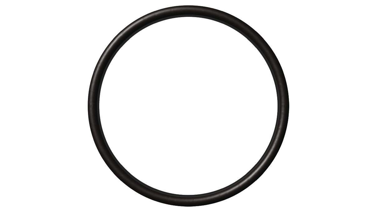 Witschi Joint de chambre de pression pour ProofMaster S et M