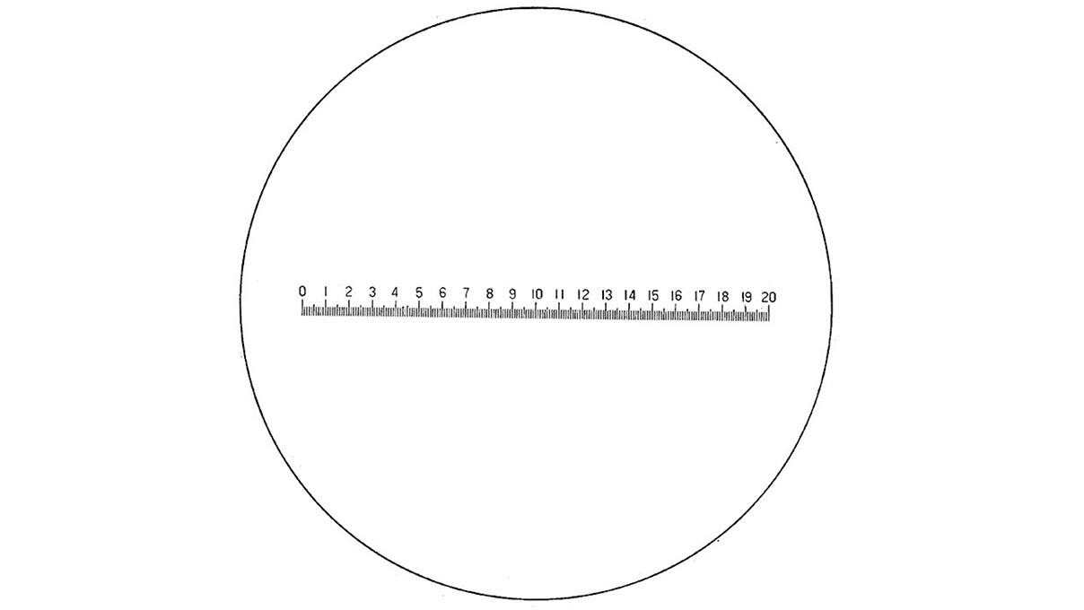 Echelle 115204 pour loupes graduées Eschenbach