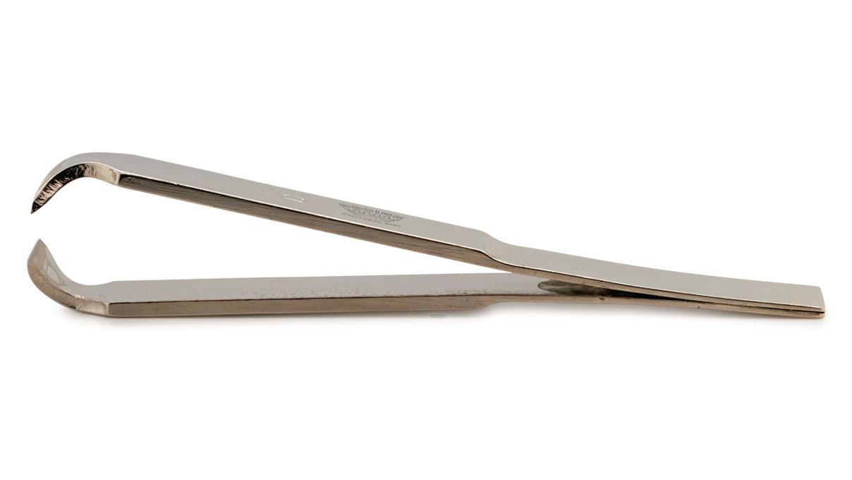 Regine Horlogery Brucelles forme D, nickelées, 94 mm