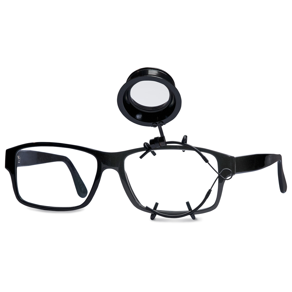 Ary Loupe, Norme, Gauche, 3,5x